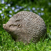 Photo of Campania Hedgerow - Exclusively Campania